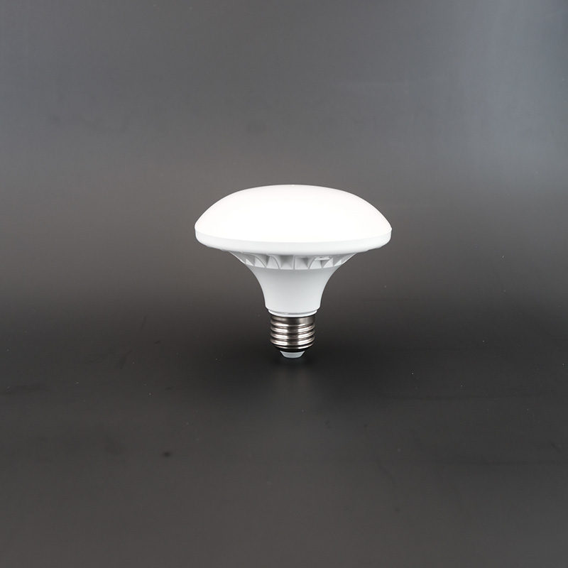LED A70 Light Bulb