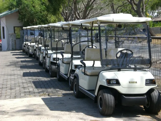2021 Electric Sightseeing Bus Golf White 2 Seat Electric Golf Car (LT-A2)