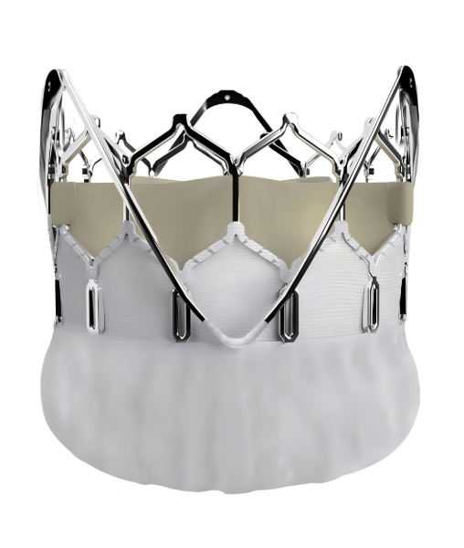 China Transcatheter Aortic Valve Innovations Transforming Cardiac Care