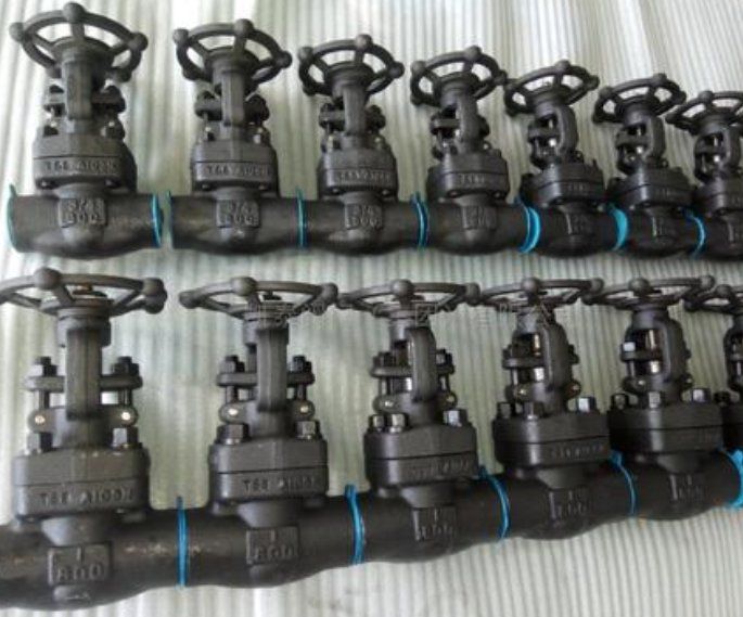 A105 Carbon Steel High Pressure Welding Gate Valve