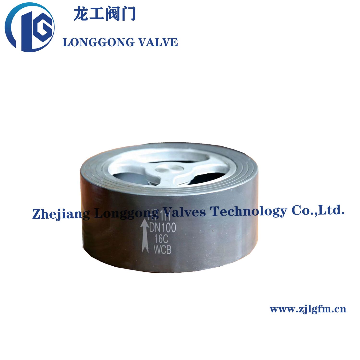 API 6D Cast Steel/Forged Steel Swing/Wafer/Vertical Spring Type Check Valve Non Return Valve