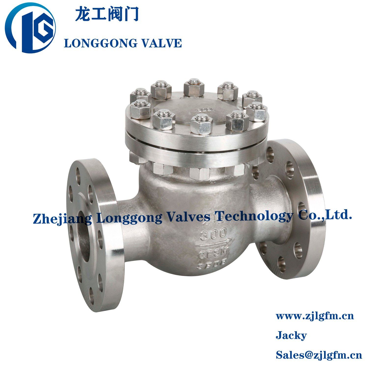 API 6D Stainless Steel Dinpn16-40 Lift Type Flanged Check Valve CF8/CF8m