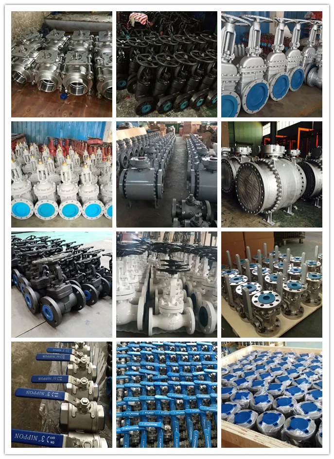 API 6D Stainless Steel Dinpn16-40 Lift Type Flanged Check Valve CF8/CF8m