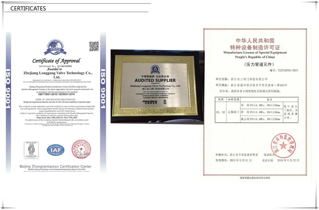 API ANSI GB Stainless Steel/Cast Steel/Carbon Steel/Wcb/CF8/CF8m Alloy Steel Non-Return Swing Check Valve Class 150 300 600 900 1500 2500