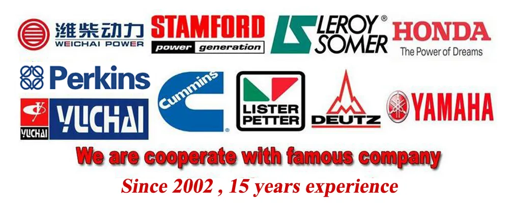 Diesel Generator Manufacture 250kVA Silent Diesel Generators Electirc Generators