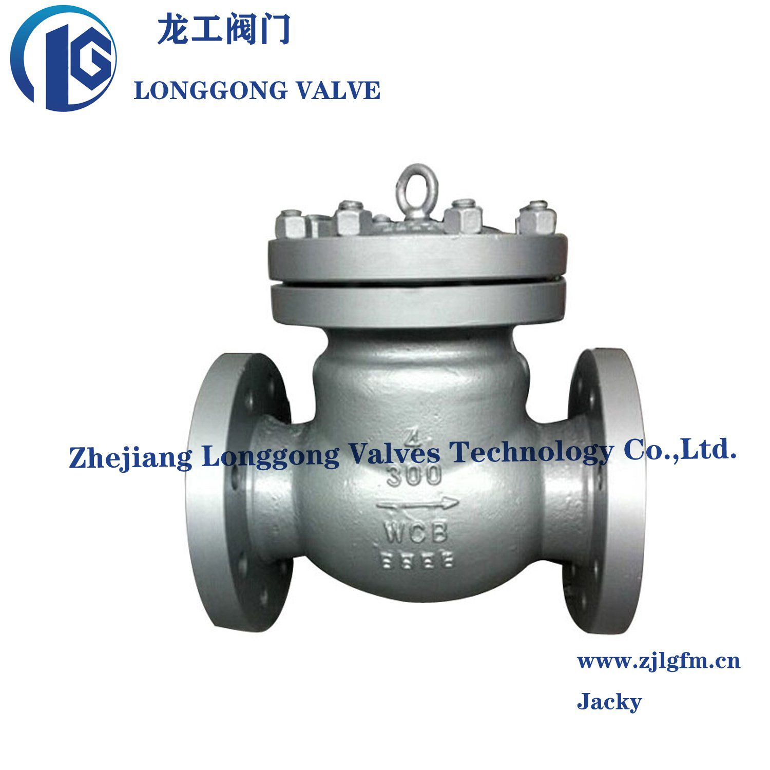 DIN Flanged Swing Check Valve Non Return Valve Pn16/Pn40