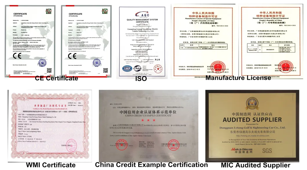 Electric Lifted Car/Cart/Buggy, Sightseeing Car, Utility Vehicle
