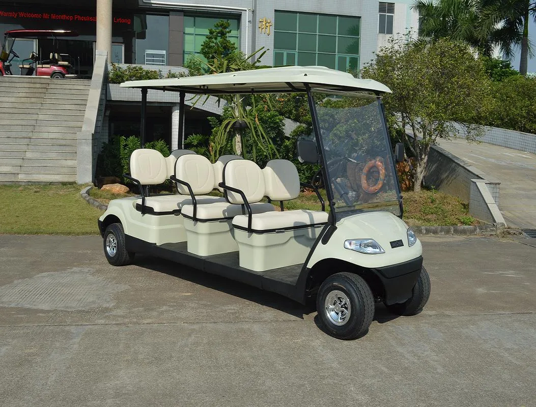 Electric Lifted Car/Cart/Buggy, Sightseeing Car, Utility Vehicle