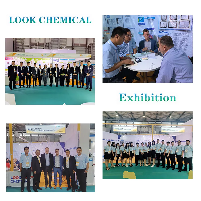 Factory Directly Sale Globally Popular High Quality Titanium Dioxide with Competitive Price CAS 1317-80-2