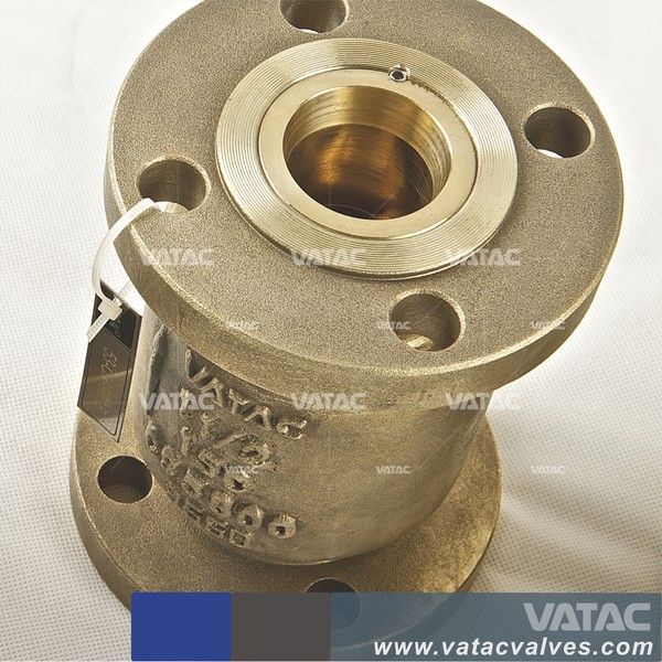 Flanged Spring Loaded Lift Check Valve