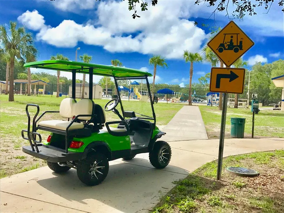 Hot Sale Small Electric Golf Cart 2 Seat with Waterproof Cover