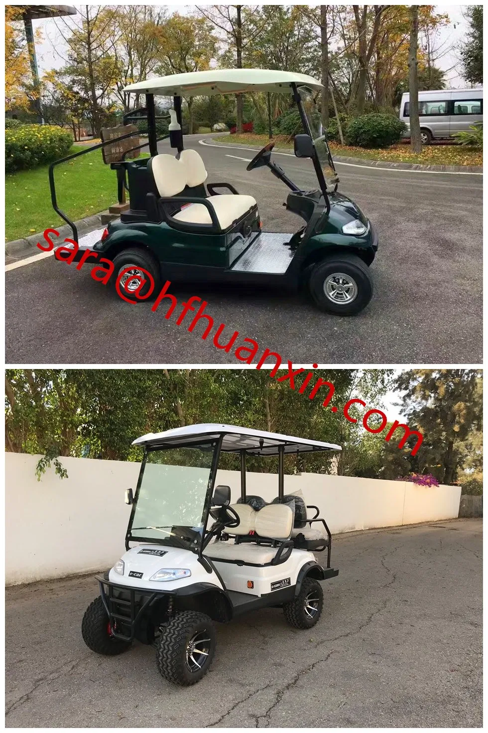 Hot Sale Standard 2 Seat Electric Golf Cart