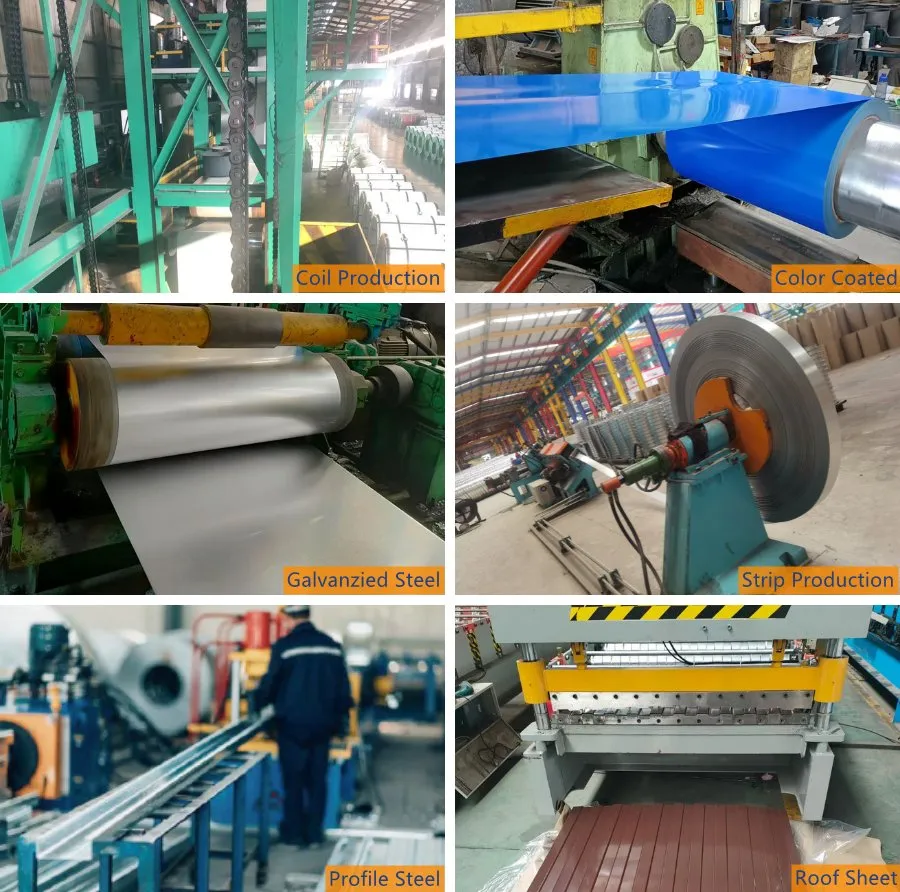 Hot Selling Ral 9012 White Ral 3005 Ral 1025 PPGI Prepainted Galvanized Steel Coil
