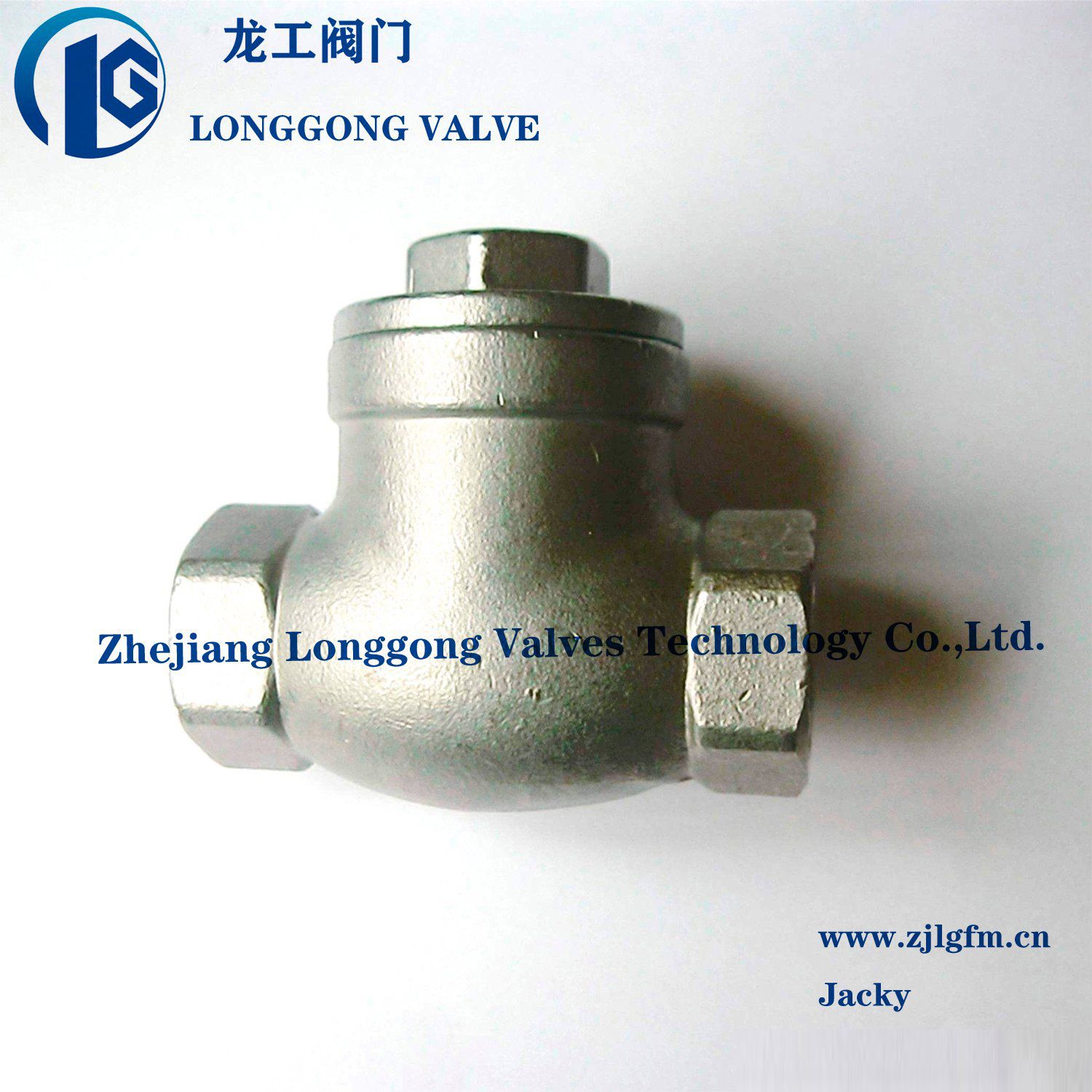 Investment Casting Stainless Steel 3PC Spring Vertical Check Valve 1000wog SS304/SS316 Bsp/NPT
