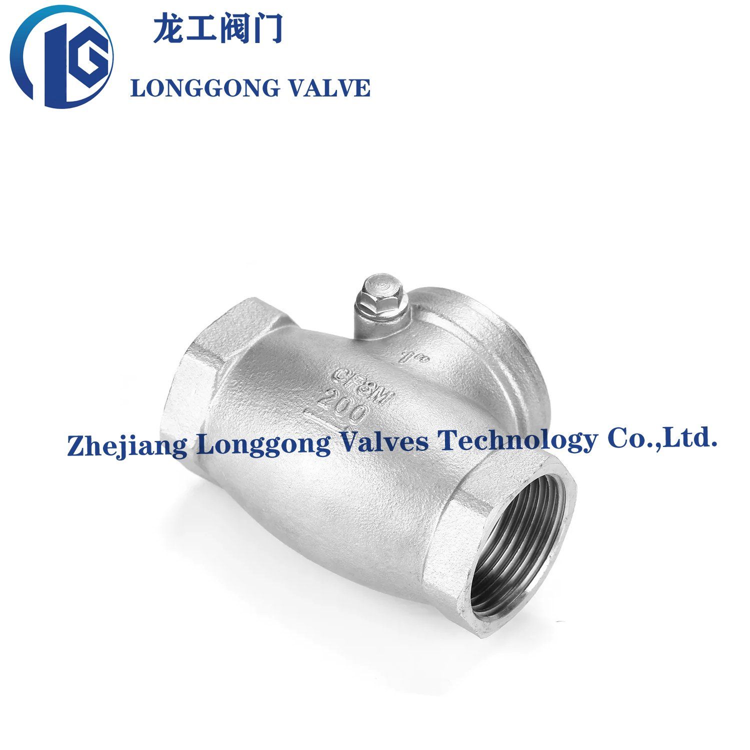 Stainless Steel 201/316/304 200wog Non-Return Swing Check Valve NPT/Bsp/BSPT