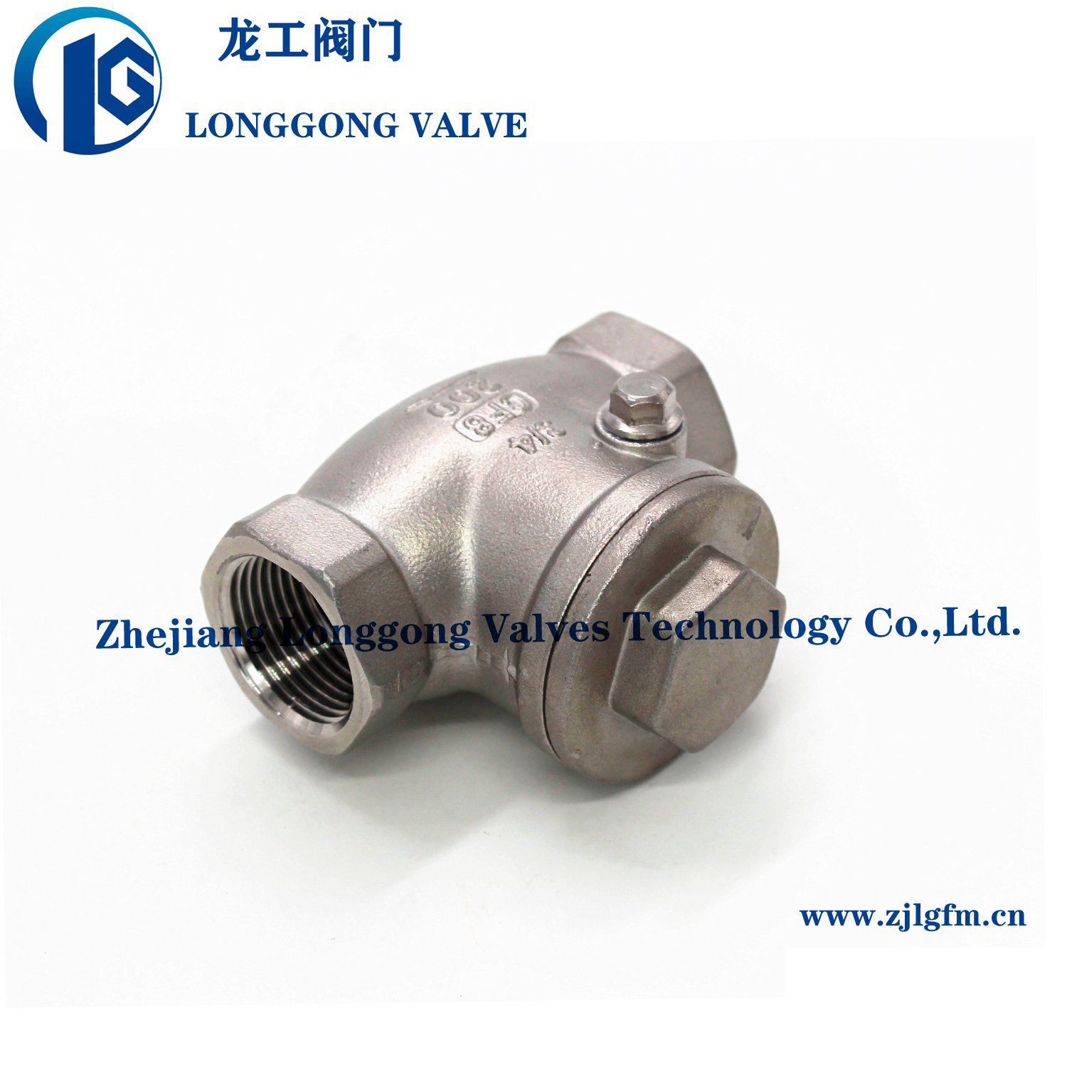 Stainless Steel 316/304/201 200wog Non-Return Swing Check Valve NPT/Bsp/BSPT