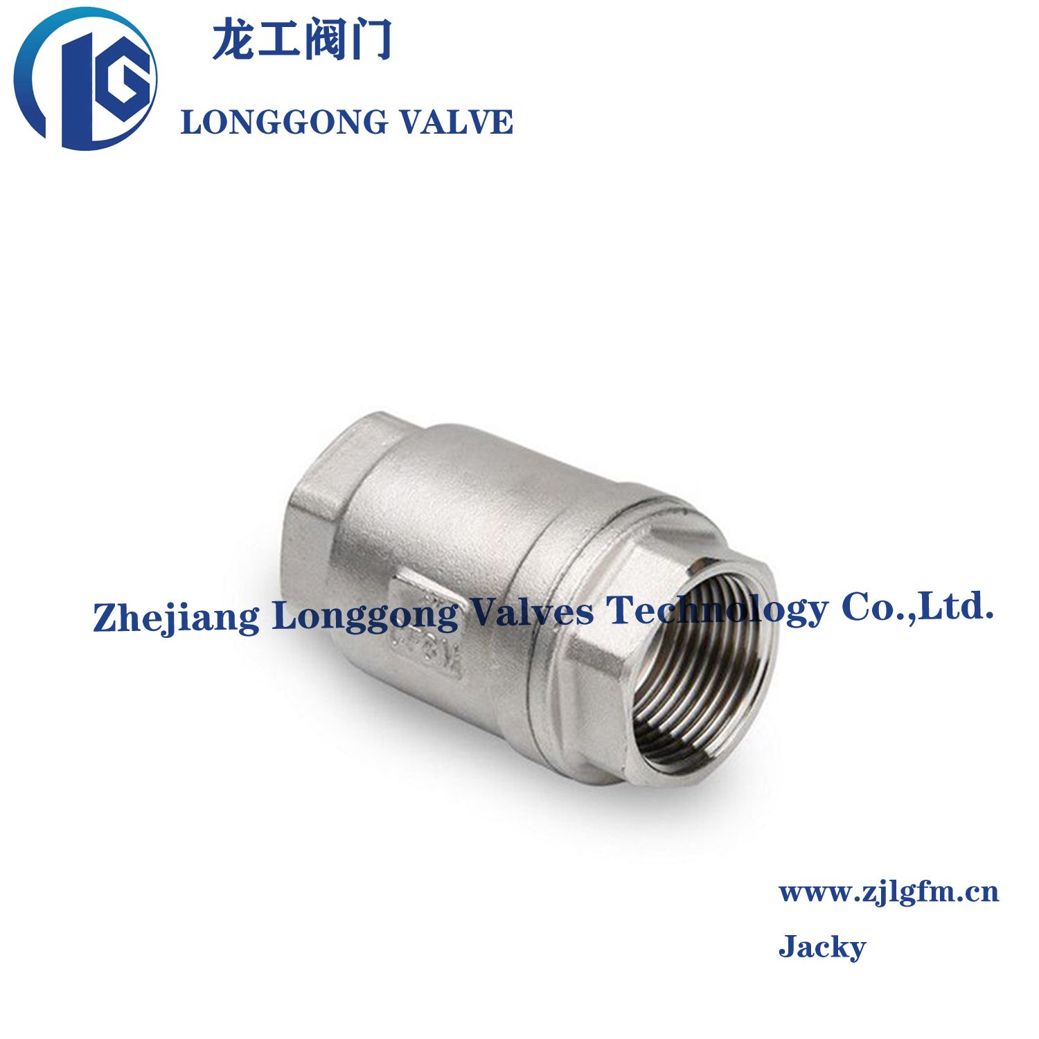 Stainless Steel CF8/CF8m/304/316 in Line Spring Check Valve 150 Lb 1000psi