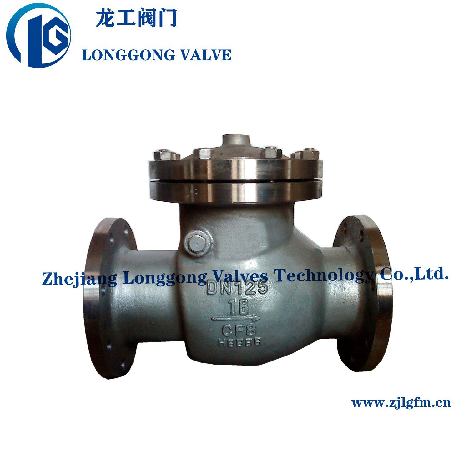 Wcb/CF8/CF8m Stainless Steel Spring Loaded Check Valve / Non Return Valve / Swing Check Valve Pn16-64